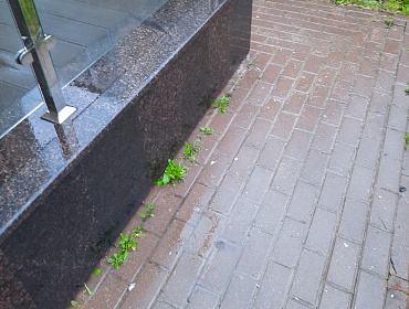 Крыльцо. Гранит Балтийский
